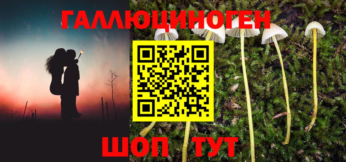 Галлюциногенные грибы Psilocybine cubensis Лысьва