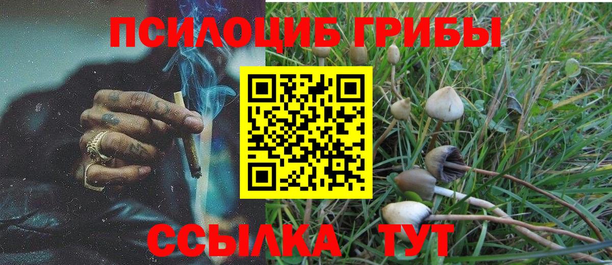 Псилоцибиновые грибы мухоморы  Вход с VPN  Лысьва  Галлюциногенные грибы Psilocybine cubensis 
