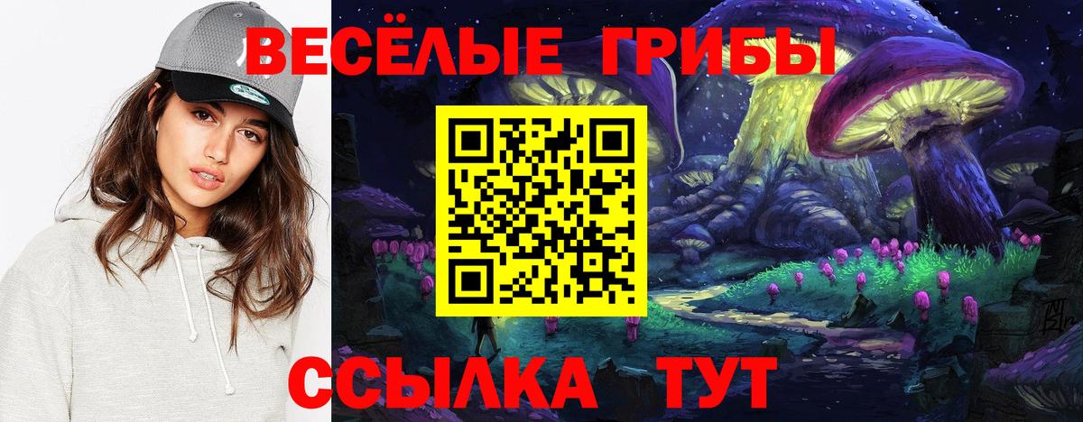 НБОМе Лысьва